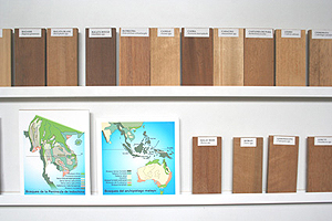 Vistas de vitrinas con colecciones de maderas tropicales